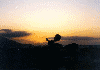 sunset.jpg